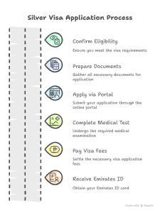 How to apply for Silver Visa UAE online with complete process explained